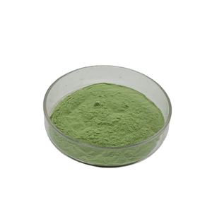 Brócoli en polvo Liofilizado Natural Brócoli Sprout Brócoli en polvo - Product Image 3