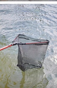 Épuisette de pêche pliable avec manche télescopique, en nylon durable, maille sûre pour la capture ou la libération des poissons - Product Image 4
