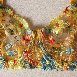 Ensemble soutien-gorge et culotte en dentelle florale brodée <span class=keywords><strong>sexy</strong></span> Modèles russes Lingerie transparente Lover Fashion - Product Image 2