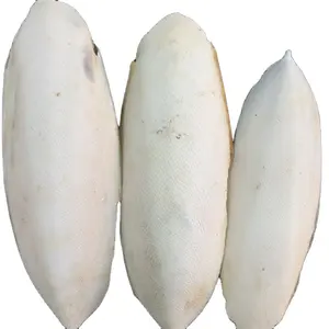 Mo yu gu bulk dried whole big cuttlefish bone with cheap price for animal feed