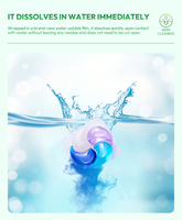 Lessives en dosettes jetables écologiques OEM 4 en 1 Protection des couleurs Élimination des taches Parfum longue durée Détergent personnalisé
