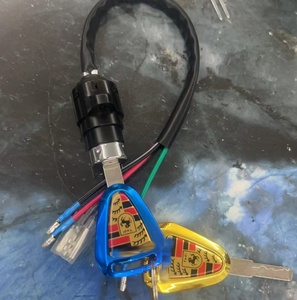 ชุดกุญแจคุณภาพสูงสำหรับรถสามล้อริกชอว์ 48V แบบเปิด - Product Image 1