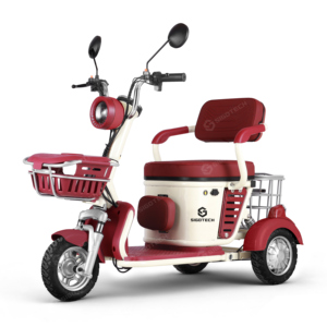 SIGOTECH OEM Triciclo Elettrico a <span class=keywords><strong>Tre</strong></span> <span class=keywords><strong>Ruote</strong></span> con Batteria a Lunga Autonomia 60V Scooter Elettrico per Anziani - Product Image 3
