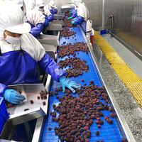 IQF Diepvries Zwarte Bessen Hele Premium Bessen 70% Zwart 30% Rood Verhouding BRC Gecertificeerd Bulk Diepvries Fruit voor Smoothies Bakkerij