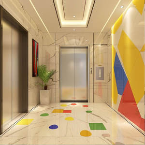 Asansör 3 kat konut Villa asansör ticari ev elektrikli asansör 4-6 kişi 400kg 600kg çekiş yolcu - Product Image 5