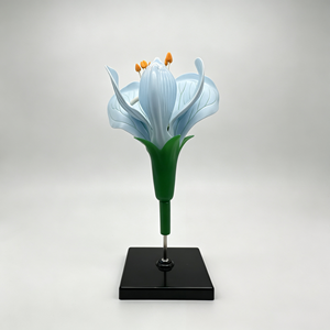 Modelo Desmontable de Disecación de Flor de Guisante |   Material Didáctico sobre la Estructura de las Flores - Product Image 1