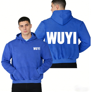 Custom Blank <b>Applique</b> Solid Hoodies for Embroidery Heavy Terry Fabric Sweatshirts Unisex Autumn New Design Wholesale - Product Image 1