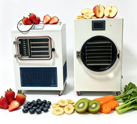 Voedselvriesdroger Kleine Vriesdroogmachine Mini Vriesdroger voor Fruit Multi Tray Kleine Vriesdroger
