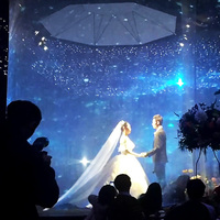 Canevas de projection holographique transparent 3D interactif comme toile de fond holographique exposition d'événement scène de musée/restaurant/mariage