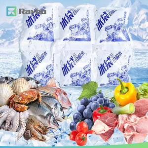 RAYBO OEM Ecologisch verantwoorde, op maat gemaakte transportkoeling, ijsgelpack, koude gelpack, ijspack voor voedselvervoer - Product Image 6