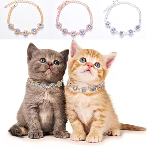 Drop Shipping Pet Sieraden Diamant Kraag Zilver Goud Kleur Kat Hond Ketting Kragen - Product Image 1