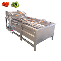 Washing Machine for Vegetables and Fruits Brush Vegetable and Fruit Cleaning Machine Fruit Washing Machines apple