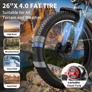 European Warehouse Low Price Factory Direct Sales Ebycco Fat Tire Moped - Product Image 6