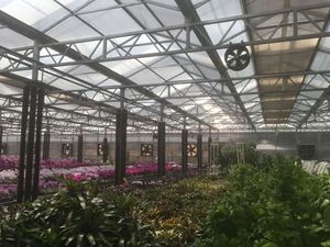 Offre Spéciale : Contrôle Automatique de la Température et de l'Humidité Idéal pour les Poulaillers, Porcheries, Bovineries et Cages à Canards, avec Volets Automatiques Étanches à la Pluie et à la Poussière - Product Image 4
