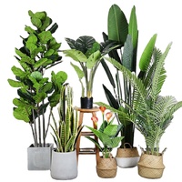 Palmier Oliviers Banane Bonsaï Artificielle Plantes Vertes D'intérieur en Pots Plantes Artificielles pour la Décoration de la Maison