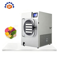 4-6kg per batch kleine mini-vriesdroger droogmachine voor snoep, fruit, huishoudelijke spraydroger van hoge kwaliteit