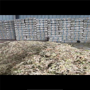 Musgo Sphagnum Chileno Premium para Cultivo de Orquídeas y Plantas Carnívoras - Product Image 5
