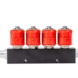 YCI03016 Cng Lpg 4 Xi Lanh Chuyển Đổi Kit Injector Rail - Product Image 4