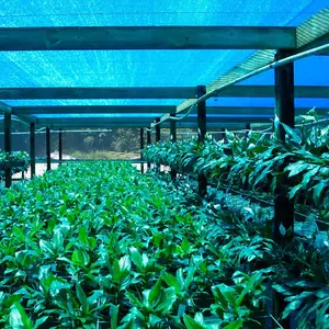 Agriculture Factory Price Dark Green Agriculture Flower Vegetable Garden Shade Screen Cloth HDPE Shade Netting Greenhouse