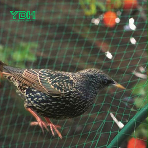 Rete Anti-Grandine in Nylon Trattata UV, Economica, con Servizio di Taglio <span class=keywords><strong>per</strong></span> Giardino, Fornitori di <span class=keywords><strong>Reti</strong></span> Anti-Uccelli - Product Image 6