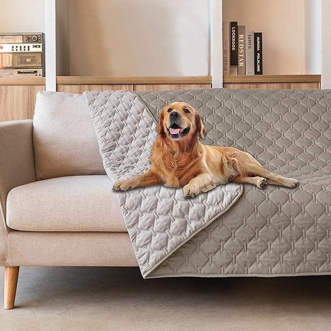 Dark Stone/Light Stone