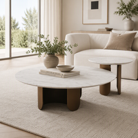 Ensemble de tables basses rondes contemporaines pour salon, table basse de luxe en acier inoxydable doré pour la maison
