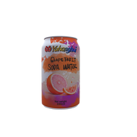 Boisson rafraîchissante à siroter OEMODM a pris en charge plusieurs saveurs personnalisables Eau de soda gazéifiée aromatisée au fruit de la passion riche