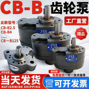 Bomba de engranajes Cb B, modelos Cb B10, B4, B6, B16, B20, B25, B32, B40, 50, 63, piezas de bomba hidráulica para uso industrial - Product Image 4