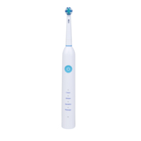 Brosse à dents électrique de voyage étanche IPX 7 Brosse à dents rechargeable intelligente pour adulte