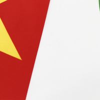 Expédition rapide, prêt à être expédié, 100% polyester, 3x5 pieds, drapeau du Suriname de haute qualité, drapeau de tous les pays