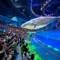 Dirigeable baleine volante bionique RC, drone flottant gonflable 3D, dirigeable biomimétique télécommandé, pompe électrique, performance scénique