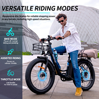 Vélo Électrique Fatbike 48V 20Ah 20*4.0 Pouces à Pneus Larges avec Siège Arrière – Vélo de Ville Électrique Rapide – Offre Spéciale