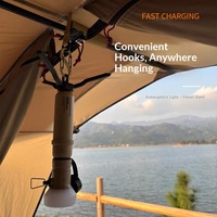 Lampe d'ambiance rétro d'extérieur à longue autonomie pour le camping sauvage, avec batterie externe grande capacité, tout-en-un, portable pour le camping