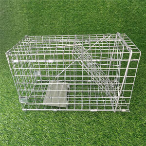 Piège à cage pour animaux vivants Pièges à raton laveur pliants robustes Piège à chat sans cruauté pour ratons laveurs errants Écureuil Taupe <span class=keywords><strong>Attraper</strong></span> et relâcher - Product Image 6