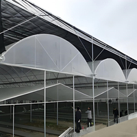 Serre intelligente de 1000 m² à conception anglaise, directement de l'usine, avec matériaux PE et film, multi-travées monocouche