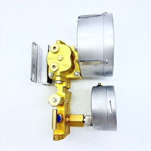 Manomètres de niveau de pression différentielle en laiton anti-vibrations OEM 0-100mbar-0-350psi - Product Image 4