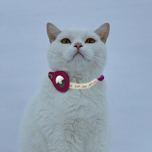 Karanlıkta Parlayan AirTag Tutuculu Kedi Tasması, Ayarlanabilir 18-25cm, Kaybı Önler, Şık ve Güvenli Küçük Evcil Hayvan Tasması - Product Image 1