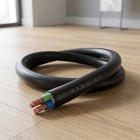 Cable de Minería Portátil Aislado con CPE Tipo W MSHA de 2kV, IP54, para Maquinaria Móvil de Minería y Cableado Temporal de Construcción