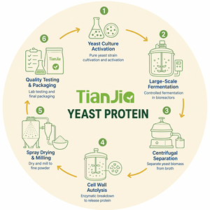 Proteína de Levadura Fermentada Tianjia, Certificada Kosher <span class=keywords><strong>y</strong></span> HALAL, Proteína Vegetal Completa para la Producción de Productos para la Salud - Product Image 3