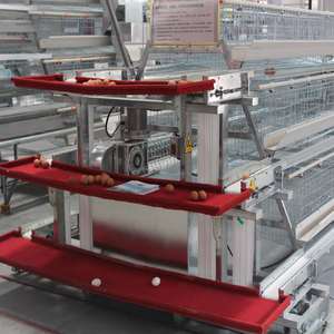Equipo automático <span class=keywords><strong>de</strong></span> jaula para <span class=keywords><strong>pollos</strong></span> avícolas para <span class=keywords><strong>pollos</strong></span> - Product Image 6