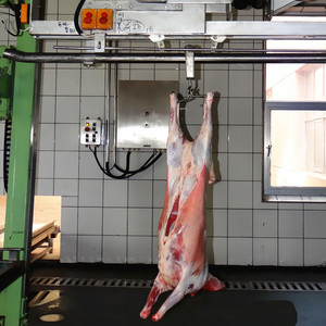 <span class=keywords><strong>Abattoir</strong></span> <span class=keywords><strong>halal</strong></span> avec équipement et machines d'abattage des moutons - Product Image 5