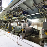 Eetbare Olie Oplosmiddel Extractiesysteem Machine Verwerkingslijn Voor Rijstzemelen En Sojaolie