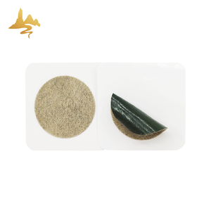 Patchs adhésifs transdermiques au gingembre à base de plantes naturelles Fourniture de soins de santé pour le soulagement des nausées et du mal des transports - Product Image 4