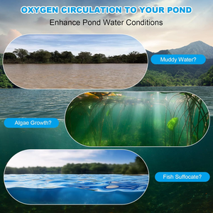 Aireador de <span class=keywords><strong>Estanque</strong></span> Sin Aceite de 600W, Bomba de Pistón Silenciosa de CA, Motor de 220V/110V, Capacidad para 3 Acres, Aireación de Alta Eficiencia para Piscicultura - Product Image 4