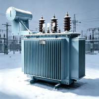 Transformateur immergé dans l'huile triphasé S11 200KVA, applications d'électrification industrielle et rurale, transformateur de puissance