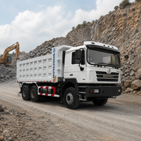 Самосвал Shacman F3000 (Евро-3) с дизельным двигателем, 6x4, грузоподъемность 41-50 т, мощность 351-450 л.с., БЫСТРАЯ ДОСТАВКА