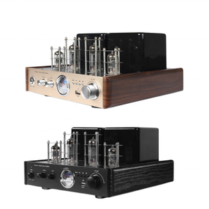 Amplificatore Hi-Fi a Valvole AV-2030 per Uso Domestico con USB - Product Image 5