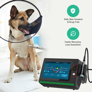 Tragbares Veterinär-Lasertherapiegerät der Klasse 4, 30W-60W, für mobile Tierarztpraxen und Schmerzbehandlung bei Tieren im Freien - Product Image 5