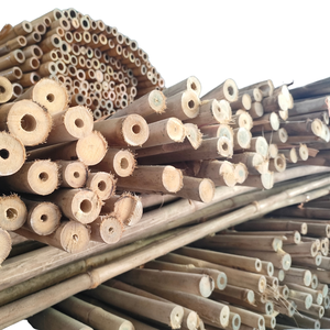 Postes de bambú pequeños y duraderos para soporte de cultivos y uso agrícola - Product Image 5