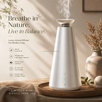Diffuseur de parfum commercial sans fil en métal USB 100 ml avec télécommande, fonction de minuterie, parfum longue durée, coffret cadeau